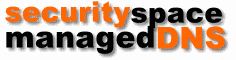 SecuritySpace Administración de DNS